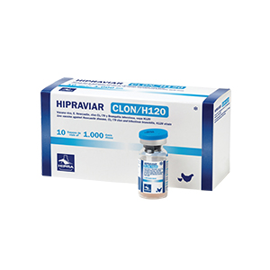 Hipraviar clon H120 