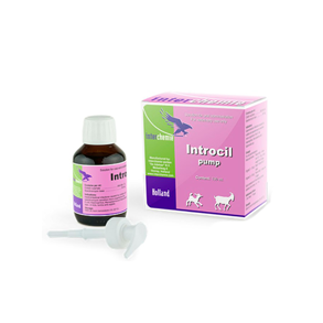 INTROCIL PUMP