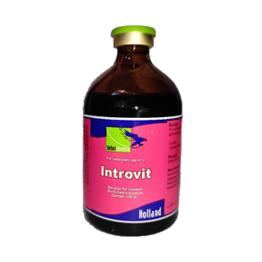 INTROVIT